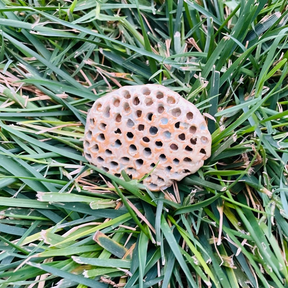 ♦️5/$15♦️Handmade Ceramic Wasp Nest | Decor Sculpture